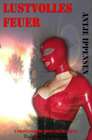 Cover of the book Lustvolles Feuer by Thomas West