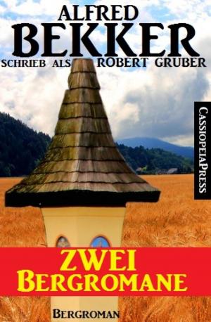 Cover of the book Zwei Bergromane by Petronius Arbiter