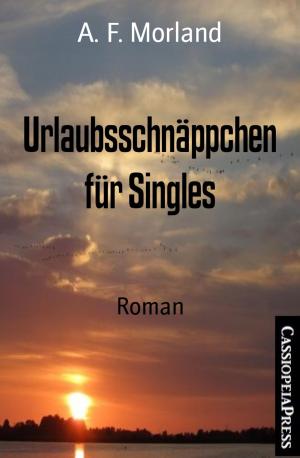 Cover of the book Urlaubsschnäppchen für Singles by Azrael ap Cwanderay, Antje Ippensen, Stejn Sterayon