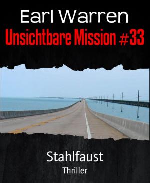 Book cover of Unsichtbare Mission #33