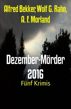Cover of the book Dezember-Mörder 2016 by Jan Gardemann