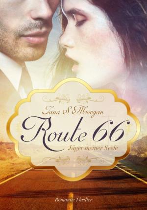 Cover of the book Route 66 by Christine Woydt