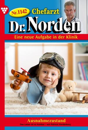 Cover of the book Chefarzt Dr. Norden 1142 – Arztroman by Christine von Bergen