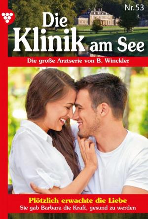 Cover of the book Die Klinik am See 53 – Arztroman by Toni Waidacher