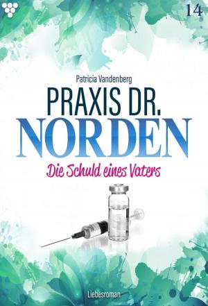 Cover of the book Praxis Dr. Norden 14 – Arztroman by Francina Houwer