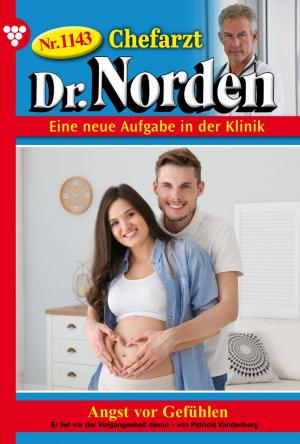 bigCover of the book Chefarzt Dr. Norden 1143 – Arztroman by 