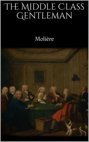 Cover of the book The Middle Class Gentleman by Adam Alfred, Stefanie Eiden, Klaus Werner Heuschen, Astrid Neuy-Bartmann