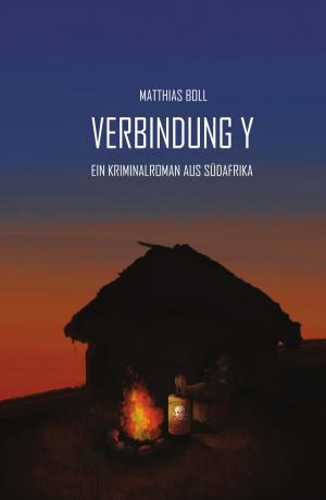 Cover of the book Verbindung Y by Anne-Katrin Straesser