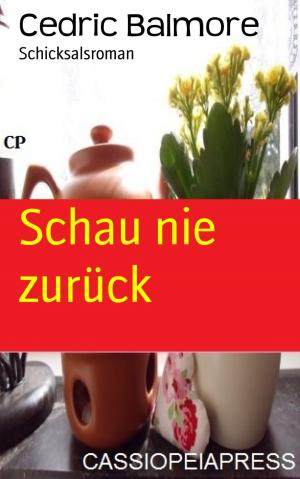 Cover of the book Schau nie zurück by Karthik Poovanam