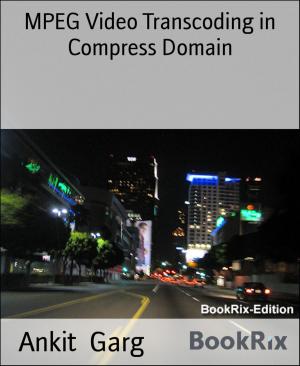 Cover of the book MPEG Video Transcoding in Compress Domain by Angelika Nylone