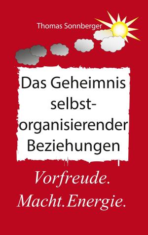 Cover of the book Selbstorganisierende Beziehungen by Manfred Schläfcke