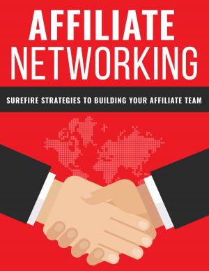 Cover of the book Affiliate Networking by Kai Helge Wirth