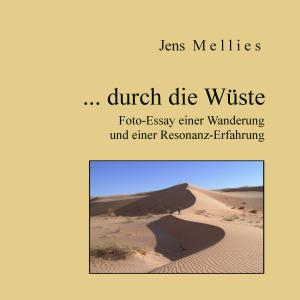 Cover of the book ... durch die Wüste by Annrose Niem