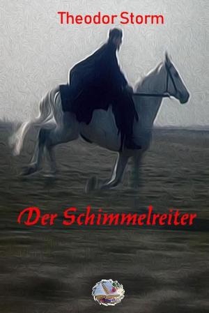 Book cover of Der Schimmelreiter (Illustriert)