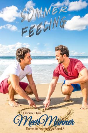Cover of the book Sommerfeeling by Angelika Nylone