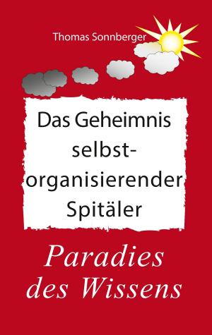 Cover of the book Das Geheimnis selbstorganisierender Spitäler by Jörg Hemmer