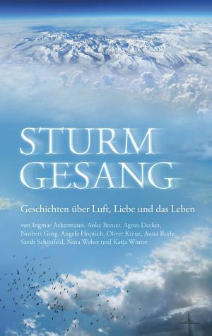 Cover of the book Sturmgesang by Christiane Wolfes, Christian Vogt