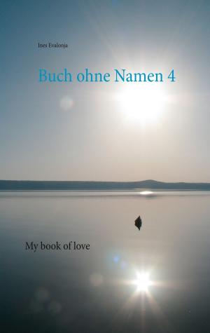 Cover of the book Buch ohne Namen 4 by Johann Henseler
