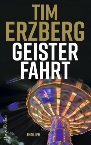 Cover of the book Geisterfahrt by Art Burton