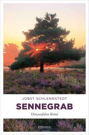 Cover of the book Sennegrab by Richard Auer