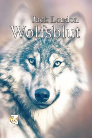 Cover of the book Wolfsblut by Felix Hollaender