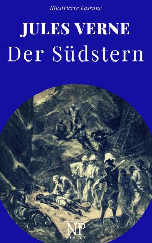Cover of the book Der Südstern by Bernhard Richter