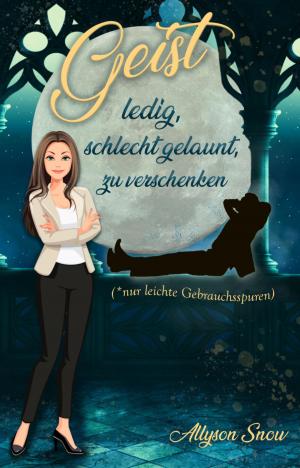 Cover of the book Geist - ledig, schlecht gelaunt, zu verschenken by Amelie Winter