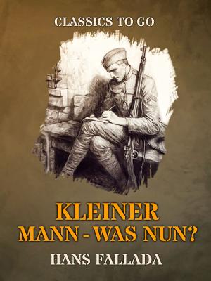 Cover of the book Kleiner Mann - Was nun? by Walter Benjamin