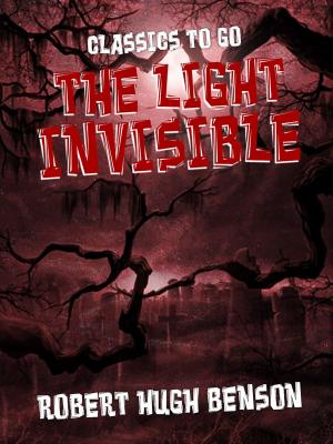 Book cover of The Light Invisible