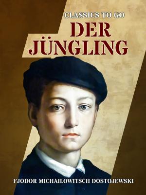 Cover of the book Der Jüngling by Edgar Rice Burroughs