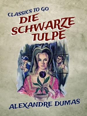 Cover of the book Die schwarze Tulpe by Franz Blei