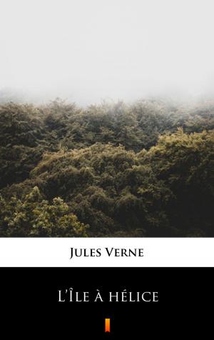 Cover of the book L’Île à hélice by Zane Grey