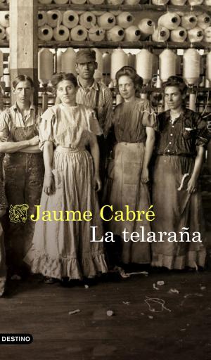 Cover of the book La telaraña by Idoia Bilbao