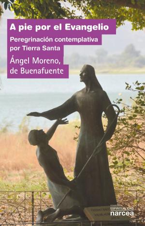 Cover of the book A pie por el Evangelio by Guillermo Bautista, Federico Borges, Anna Forés