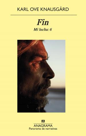 Cover of the book Fin by Cristina Sánchez-Andrade