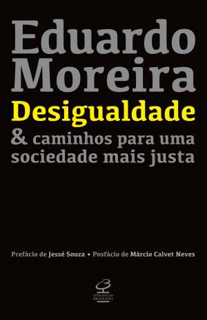 Cover of the book Desigualdade & caminhos para uma sociedade mais justa by Edmar Bacha