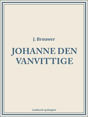 Cover of the book Johanne den vanvittige by Jennifer Haigh