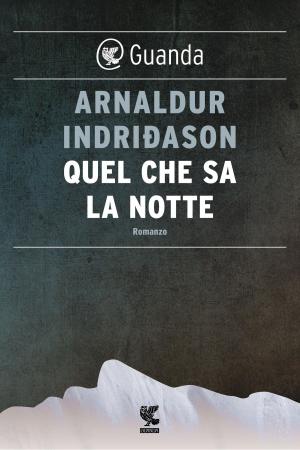 Cover of the book Quel che sa la notte by Javier Cercas