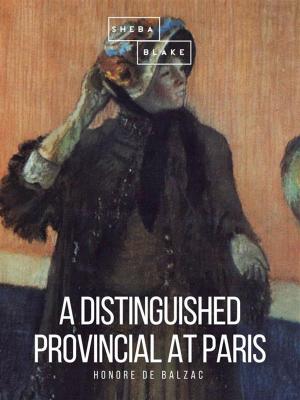 Cover of the book A Distinguished Provincial at Paris by Lord Dunsany, Sheba Blake