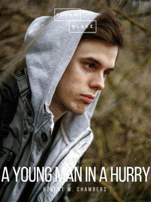 Book cover of A Young Man in a Hurry
