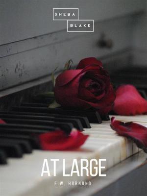 Cover of At Large