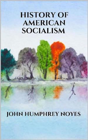Book cover of History of american socialism