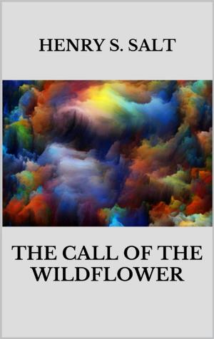 Cover of the book The call of the wildflower by G.B.G. DANZA