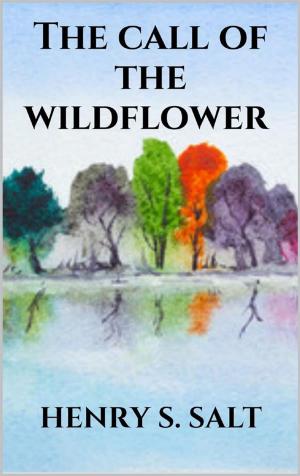 Cover of the book The call of the wildflower by Caterina Uricchio