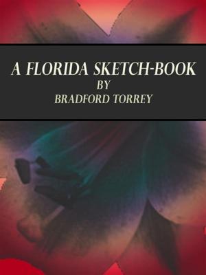 Book cover of A Florida Sketch-Book