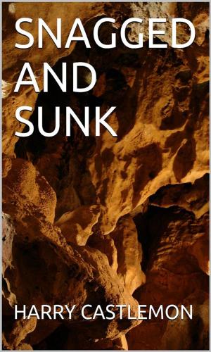 Cover of the book Snagged And Sunk by Ali Henson