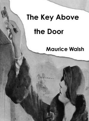 Cover of the book The Key Above the Door by P.J. Blakey-Novis