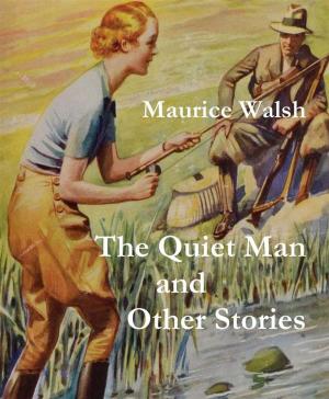 Book cover of The Quiet Man and Other Stories