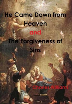 Cover of the book He Came Down from Heaven and the Forgiveness of Sins by Terry Nichols