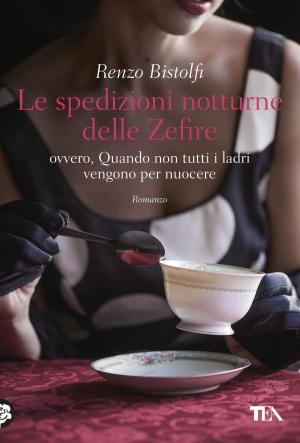 Cover of the book Le spedizioni notturne delle Zefire by Gianni Simoni